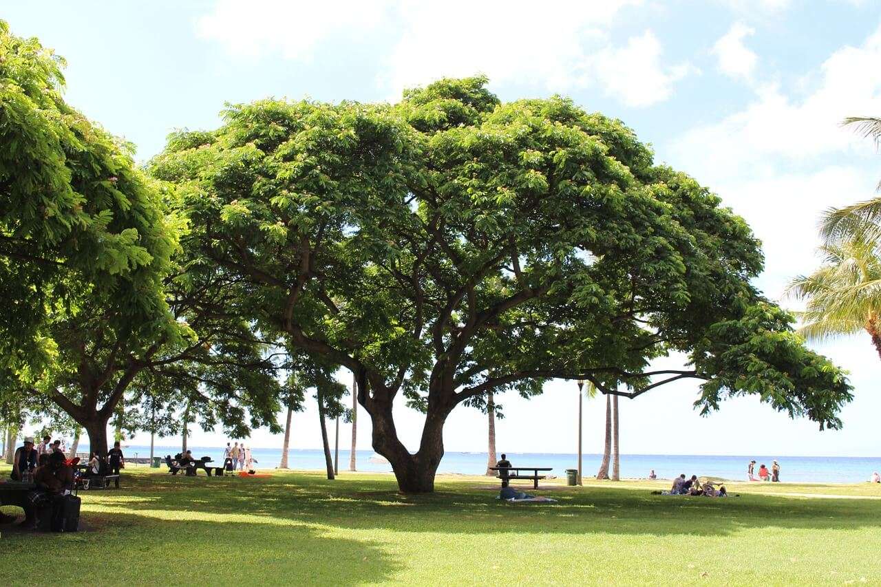 Big Island, Hawaii, USA