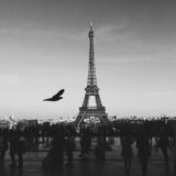 Eiffel Tower Black & White,Paris