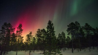 10 Things You Need To Know Before Visiting Sweden 2